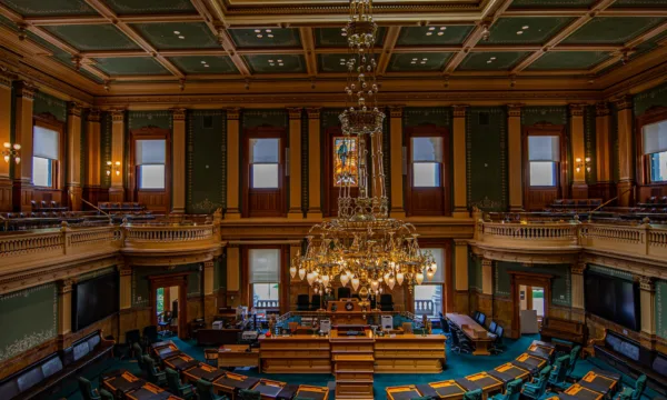 Government and Non-profit